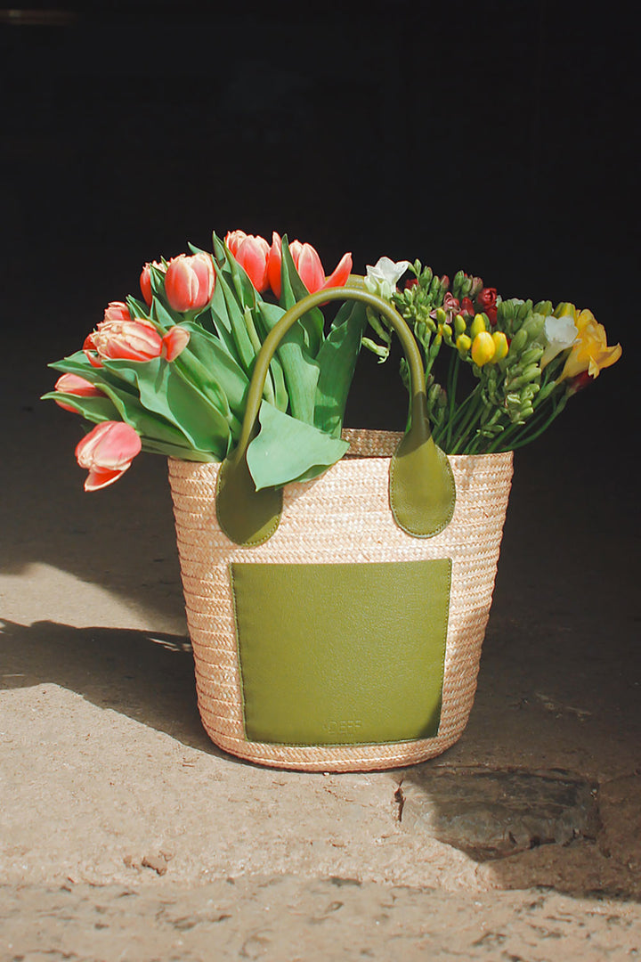 Albi Basket Green