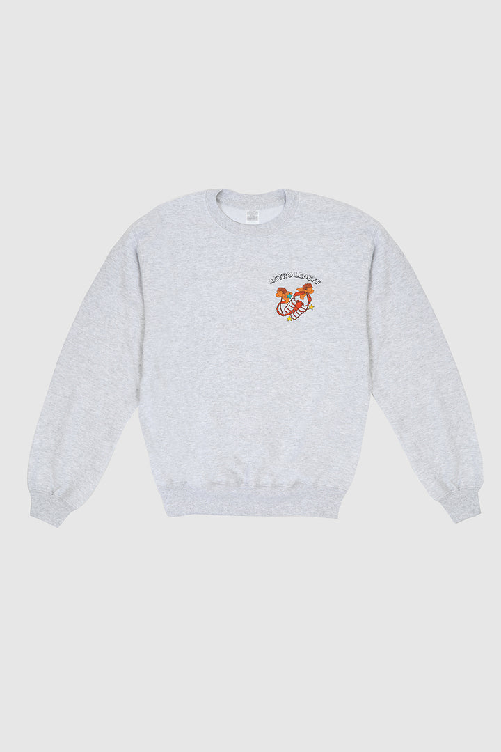 New Astroledeff Fleece